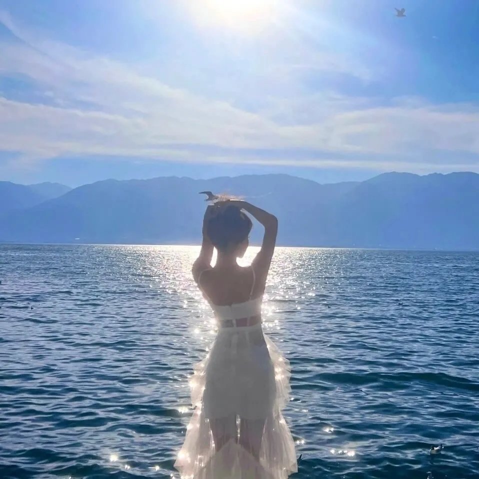 金装律师第一季海报